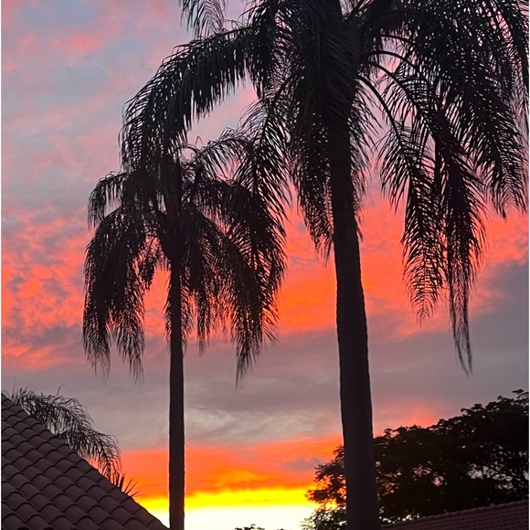 RANDOM PULLS LIVE - Picture 4 of 7